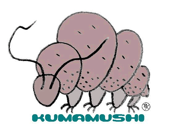 KUMAMUSHI
