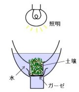 卓人流ベールマン装置